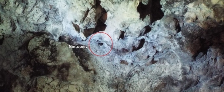 Powiększ obraz: Jaskinia Nietoperzowa