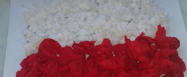 Powiększ obraz: Biało-czerwony kontur Polski