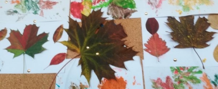 Powiększ obraz: Dary jesieni