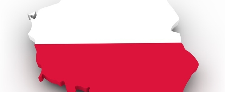 Powiększ obraz: Kontur Polski w biało-czerwonych barwach