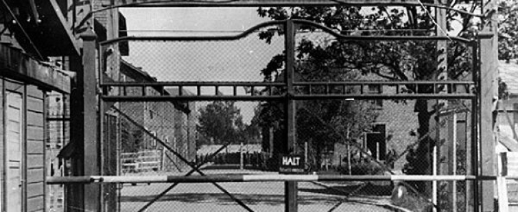 Powiększ obraz: Brama główna obozu koncentracyjnego Auschwitz