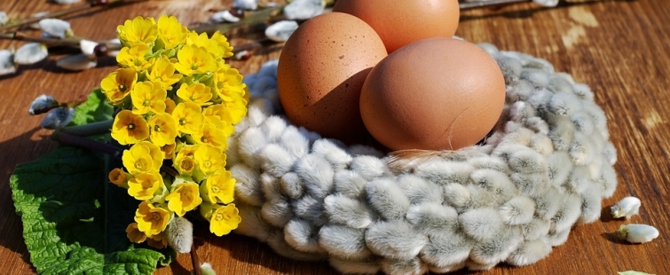 Powiększ obraz: Grafika z baziami i jajkami